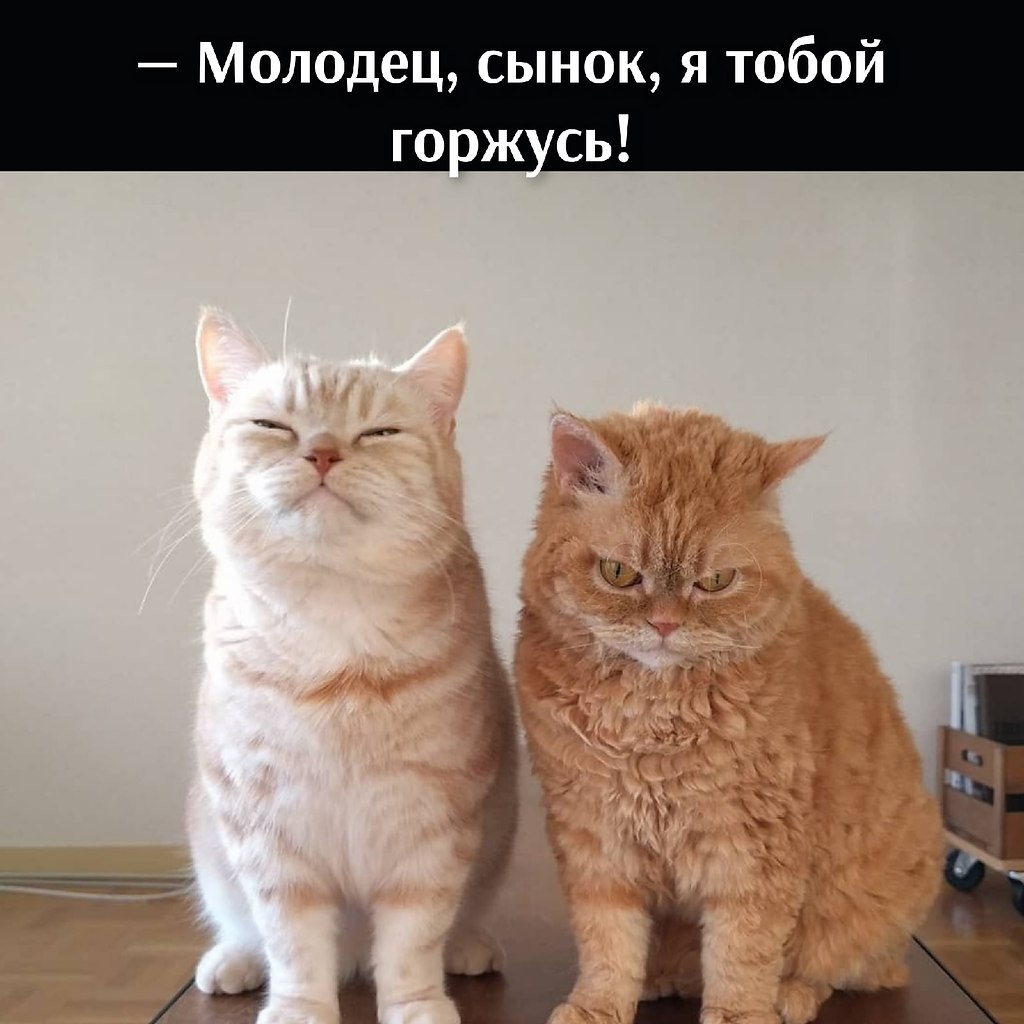       - 14  2025  17:34 - 2