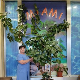 ���� �������, �������� - ��������� 6 ������� 2025