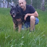 ������, 52 ����, ������