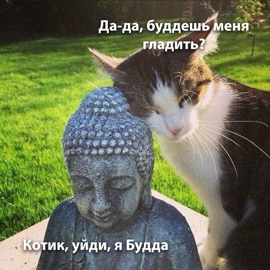   - 1  2025  08:28