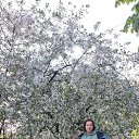 ���� ����� ���������, �����, 45 ��� - ��������� 1 ������� 2026