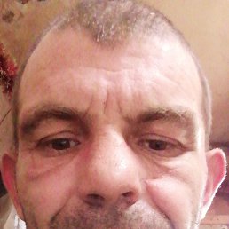 , 38 , 