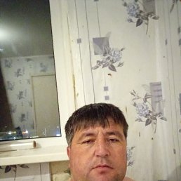 , 42, 