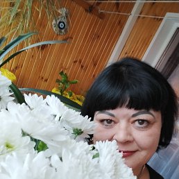 ���� ��������, ������ ��������, 50 ��� - ��������� 4 ����� 2026