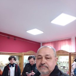 , 61, 