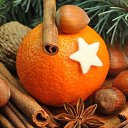 ���� ������, �����-���������, 49 ��� - ��������� 24 ������� 2024 � ������ ���� ����������