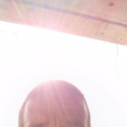 �����, ���������, 44 ����