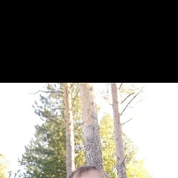 �������, 38 ���, ������