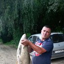 ���� �������, �������, 51 ��� - ��������� 3 ���� 2026 � ������ ���� ����������