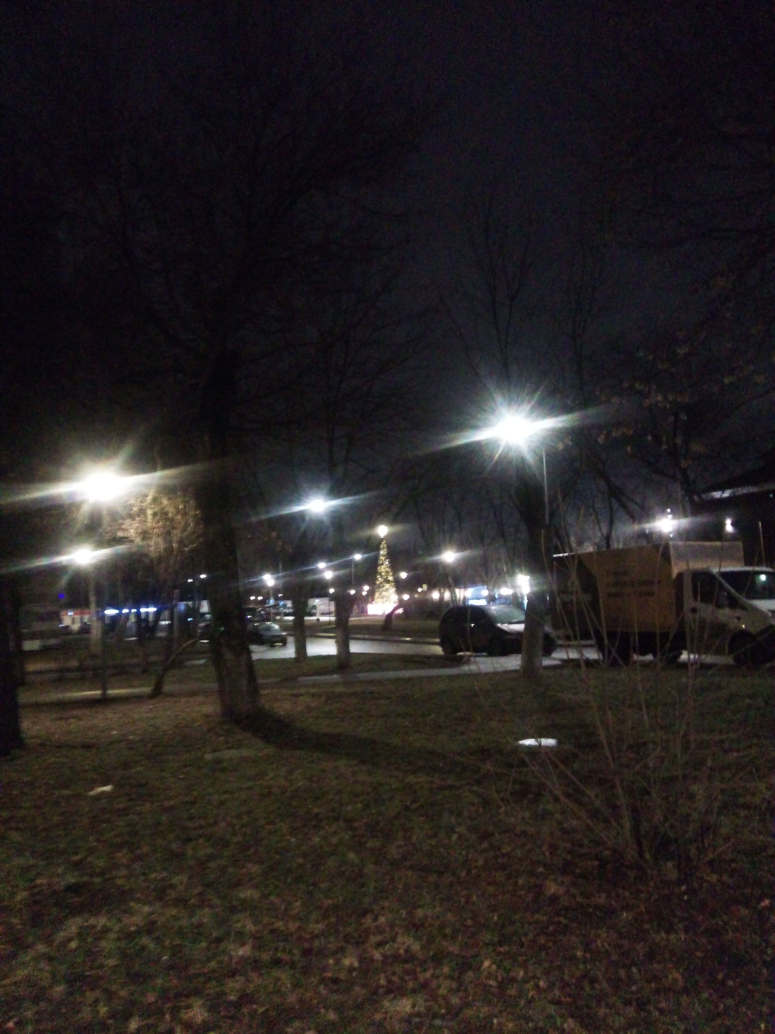 "Травка зеленеет, Ёлочка блестит". Февраль 2025 г. Москва.Вчера вечером, выйдя на улицу в ...