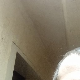 ���������, ������, 32 ����