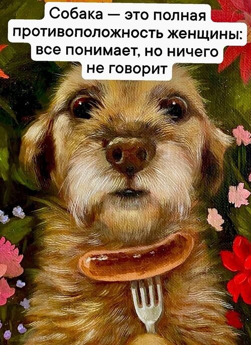  - 26  2025  11:24