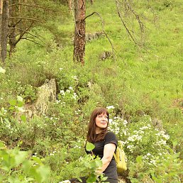 * �����, �������