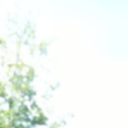 �����, �����, 53 ����