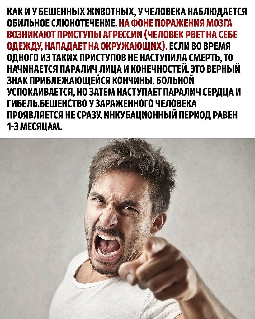    ,       . - 3