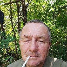 , 51, 