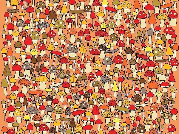 ������� ����� �� ��������. ��� �����, ������ +++ � ������������ #����@velikieslova