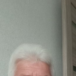 ��������, 61 ���, �����