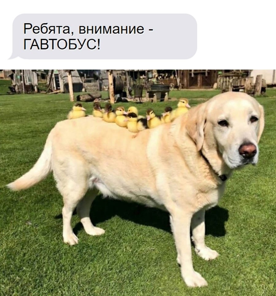 ��� �������� �������� - 1 ������� 2025 � 04:43