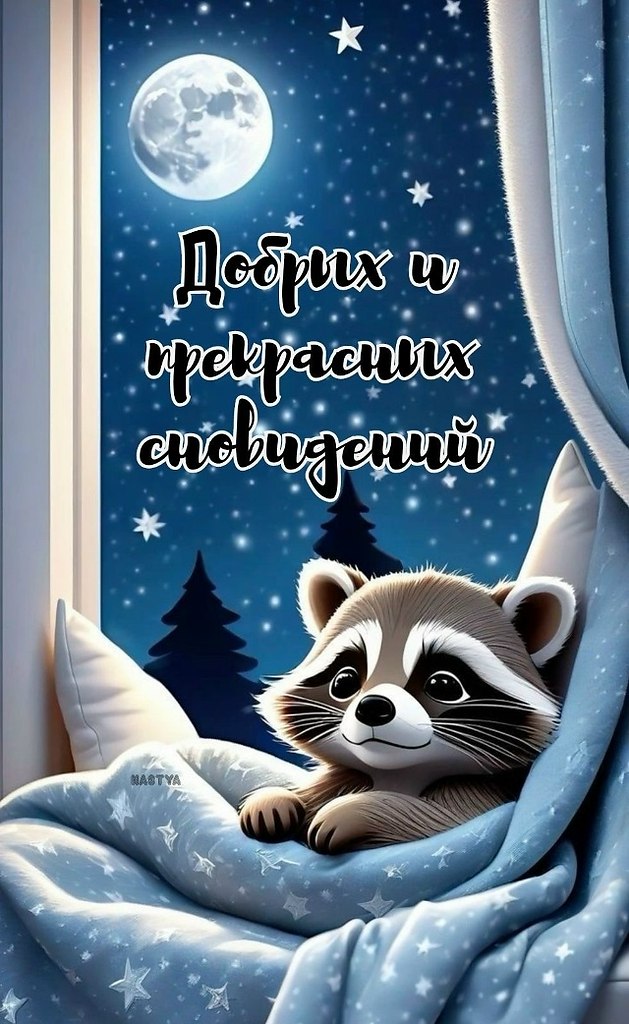��� ���� - 3 ����� 2026 � 22:18