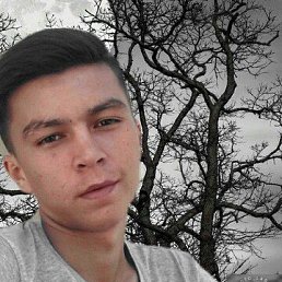 , 25,  ()