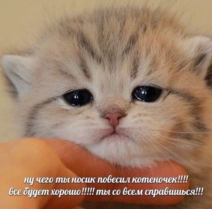 8       . :     ...