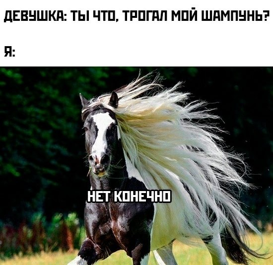  - 1  2025  15:22