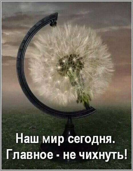   ! - 20  2025  10:03