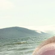 , 39 , 