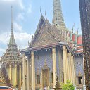 ���� ��������, �������, 74 ���� - ��������� 26 ������ 2025 � ������ ���� ����������