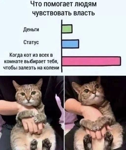   - 18  2025  11:27