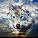 ���� ����, �����������, 27 ��� - ��������� 16 ������� 2025