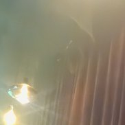 �������, 41 ���, ������-��-����