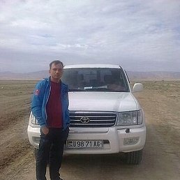 �����, ��������, 49 ���