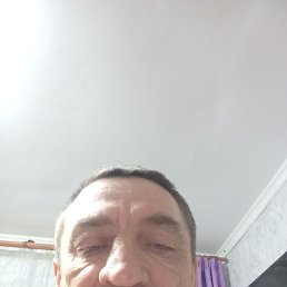 ����, 40 ���, ��������