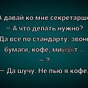 ���� ��������, �����������, 55 ��� - ��������� 5 ��� 2026 � ������ ������ ��������