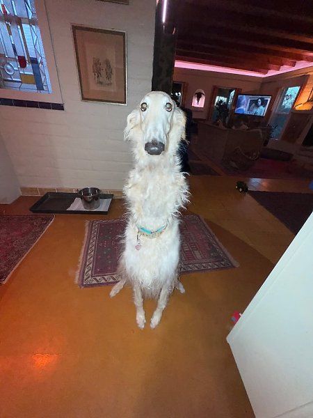  .   ,  -  .  .     . - 4