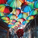 ���� Nata, ������ - ��������� 20 �������� 2025