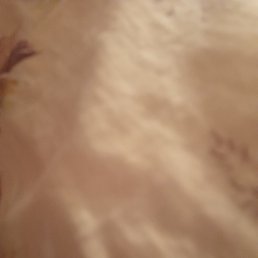 �����, ���������, 22 ����