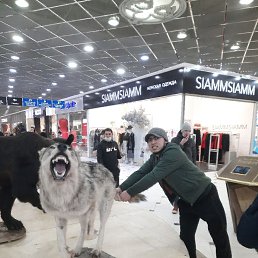 ���� ����������, ������, 34 ���� - ��������� 22 ������� 2023