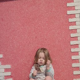 ���� �������, ���������, 62 ���� - ��������� 3 ������ 2024