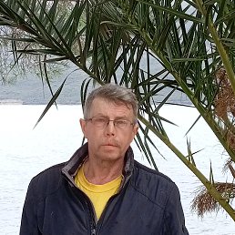 ���� ������, ������� �������� - ��������� 22 ����� 2026