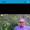 ���� ������, ������, 62 ���� - ��������� 24 ���� 2026
