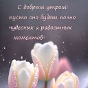  , , 24  -  8  2024    
