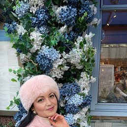 ���� ����, ���, 62 ���� - ��������� 15 ������ 2023