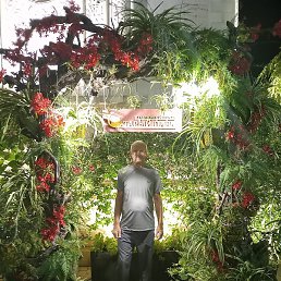 ����, ���������, 63 ����