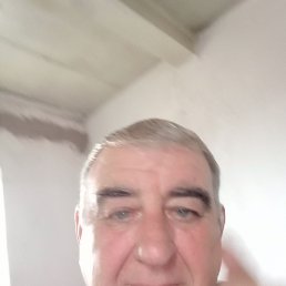 , 56, 