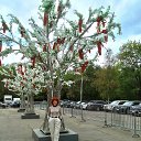 ���� ������, ������ - ��������� 13 ��� 2025