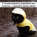 ���� ������, ������ - ��������� 11 ������ 2026 � ������ ���� ����������