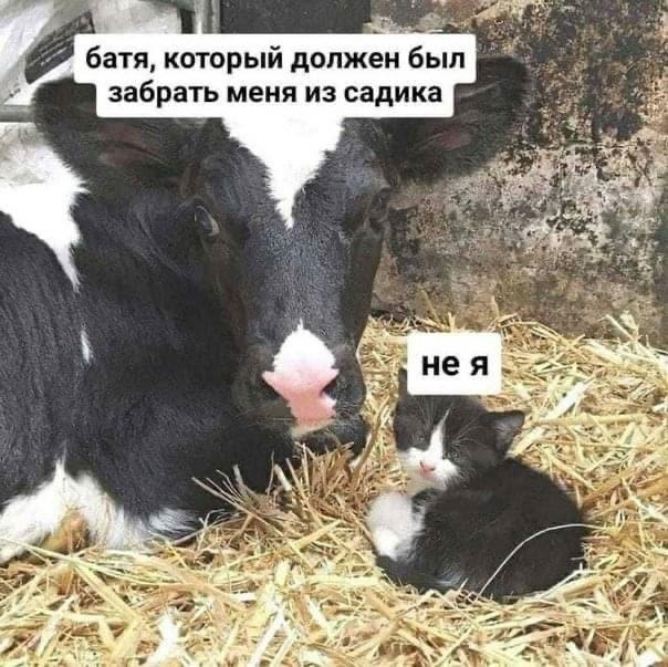    - 19  2024  20:35